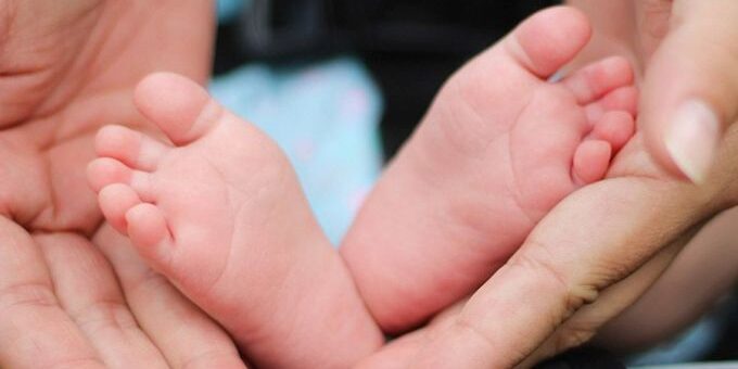 vida_unsplash_010318